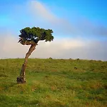 Miradouro Da Papalva - Pico - Azores לינה וארוחת בוקר Sao Joao (Pico Island)