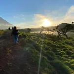 Miradouro Da Papalva - Pico - Azores לינה וארוחת בוקר