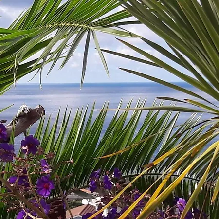 Bed & Breakfast Miradouro Da Papalva - Pico - Azores Sao Joao (Pico Island)