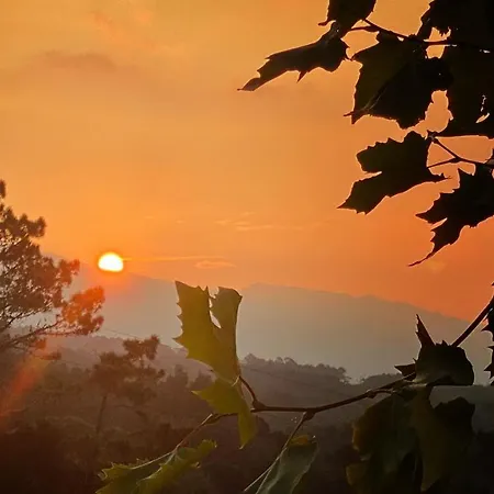 Miradouro Da Papalva - Pico - Azores Sao Joao (Pico Island)