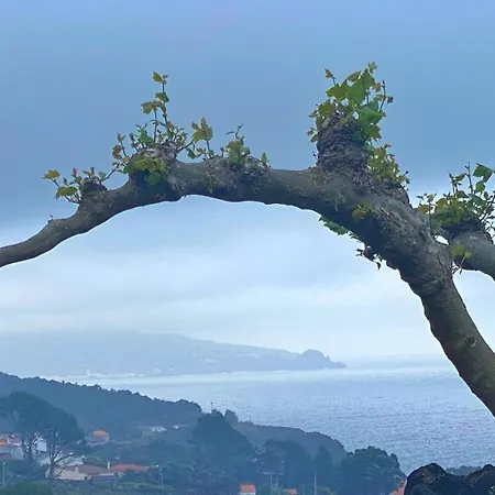 Miradouro Da Papalva - Pico - Azores Bed & Breakfast