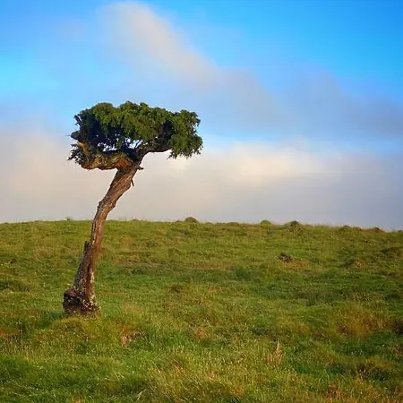 Miradouro Da Papalva - Pico - Azores B&B Sao Joao (Pico Island)