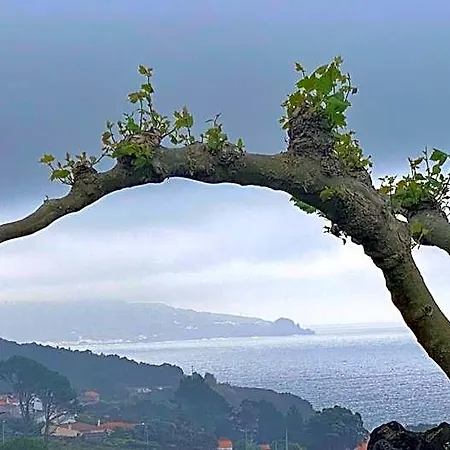 Bed & Breakfast Miradouro Da Papalva - Pico - Azores Sao Joao (Pico Island)