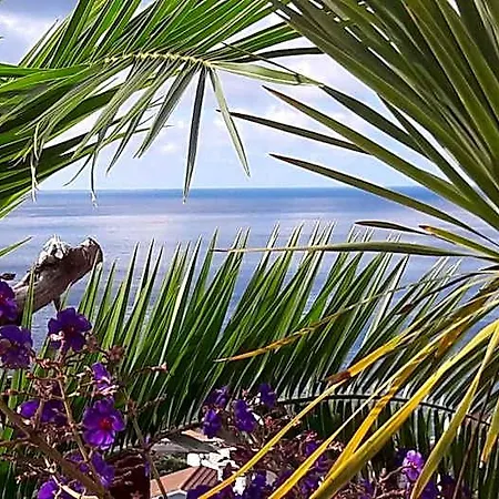 Bed & Breakfast Miradouro Da Papalva - Pico - Azores Sao Joao (Pico Island)