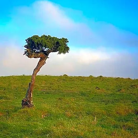 Miradouro Da Papalva - Pico - Azores