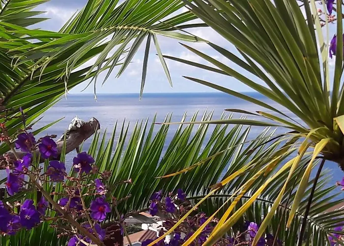 Bed & Breakfast Miradouro Da Papalva - Pico - Azores Sao Joao (Pico Island)