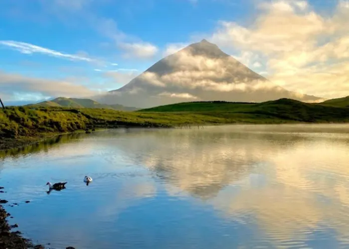 Miradouro Da Papalva - Pico - Azores Nocleg ze śniadaniem Sao Joao (Pico Island)