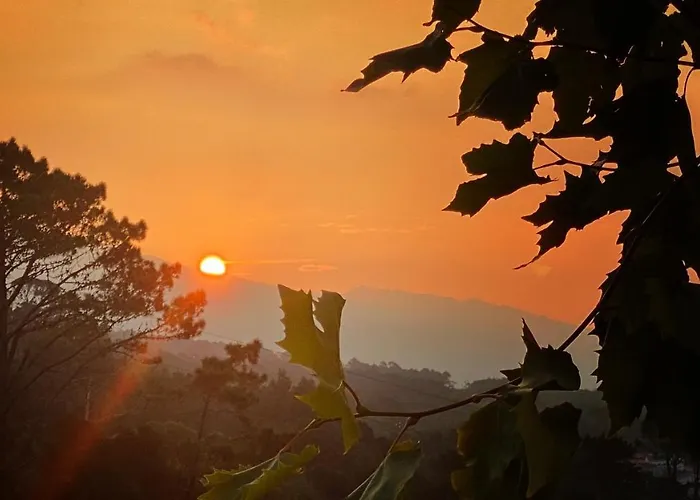 Miradouro Da Papalva - Pico - Azores Sao Joao (Pico Island)