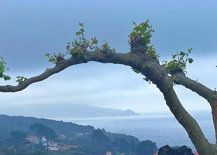 Miradouro Da Papalva - Pico - Azores Bed & Breakfast