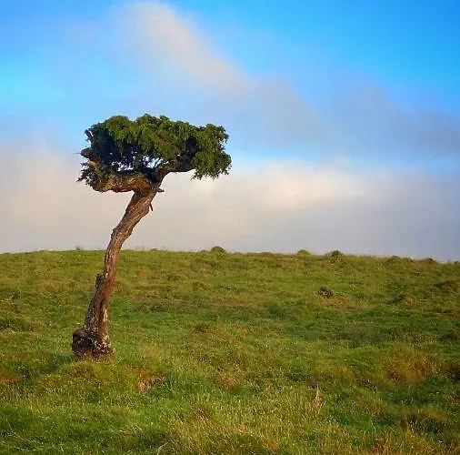 Miradouro Da Papalva - Pico - Azores Nocleg ze śniadaniem Sao Joao (Pico Island)